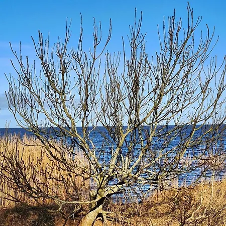 Secluded Cozy In Skaven-by Traum Casa vacanze *